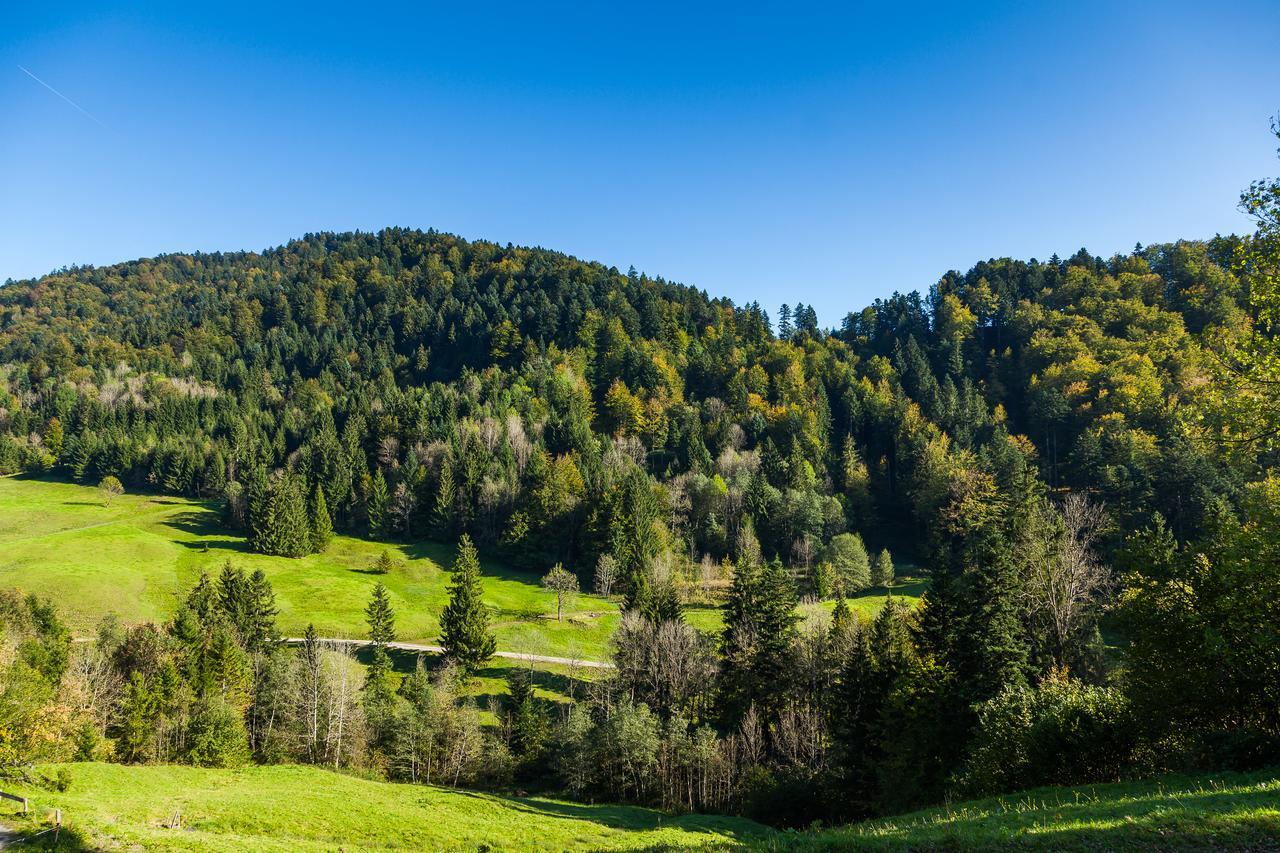 Hotel Bad Rain Mit Oberstaufen Plusgolf 外观 照片