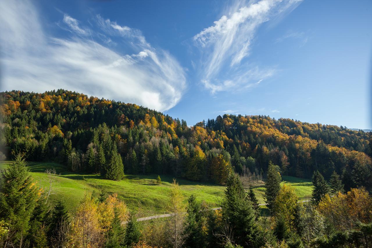 Hotel Bad Rain Mit Oberstaufen Plusgolf 外观 照片
